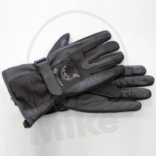 gwen