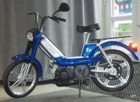 Peugeot VOGUE.