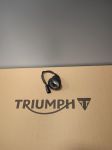Triumph Tiger 1200 mlhovka.